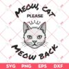 Baby Lasagna Rim Tim Tagi Dim SVG, Eurovision 2024 SVG, Meow Cat Please Meow Back SVG PNG