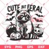 Cute But Feral SVG, Cute Raccoon Halloween SVG, Raccoon And Pumpkin SVG