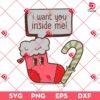 I Want You Inside Me SVG PNG, Candy Cane SVG PNG, Christmas Stocking SVG PNG