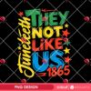 Juneteenth They Not Like Us PNG, Juneteenth 1865 PNG, Afro Juneteenth Black History Month PNG